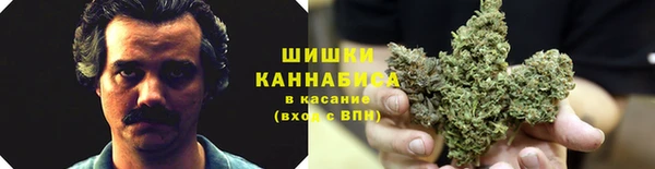 тгк Беломорск