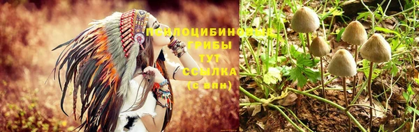 ALPHA PVP Белоозёрский