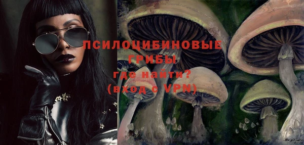 тгк Беломорск