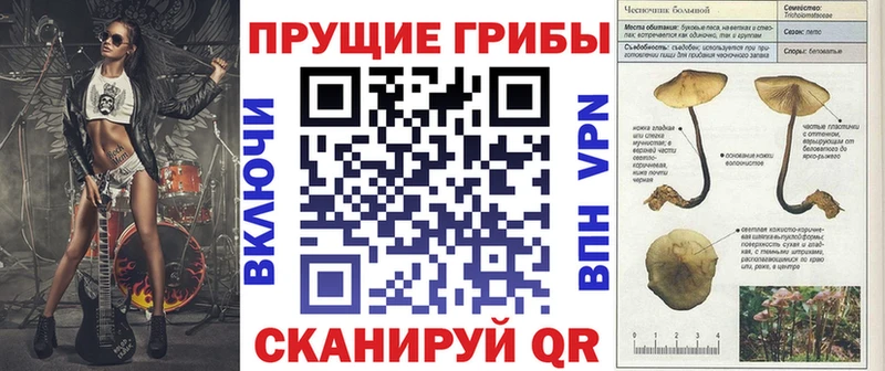 площадка как зайти  Очёр  Псилоцибиновые грибы MAGIC MUSHROOMS  купить закладку 